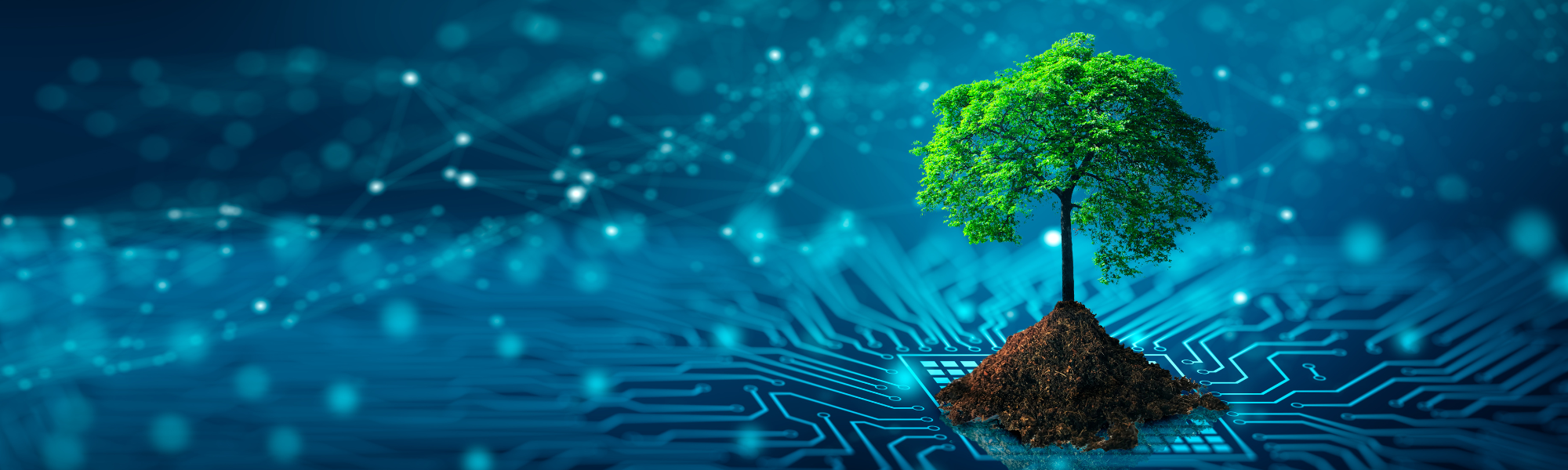 Transition écologique ne entreprise